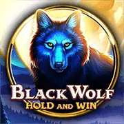 Trò chơi Slot Games 79king04